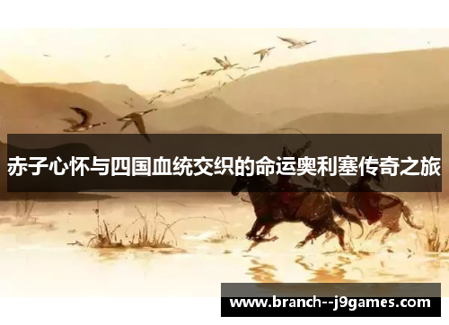 赤子心怀与四国血统交织的命运奥利塞传奇之旅